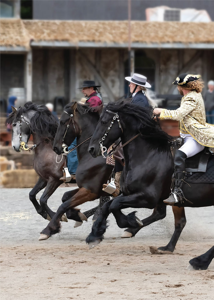 Kryal Castle Baroque Horse Festival