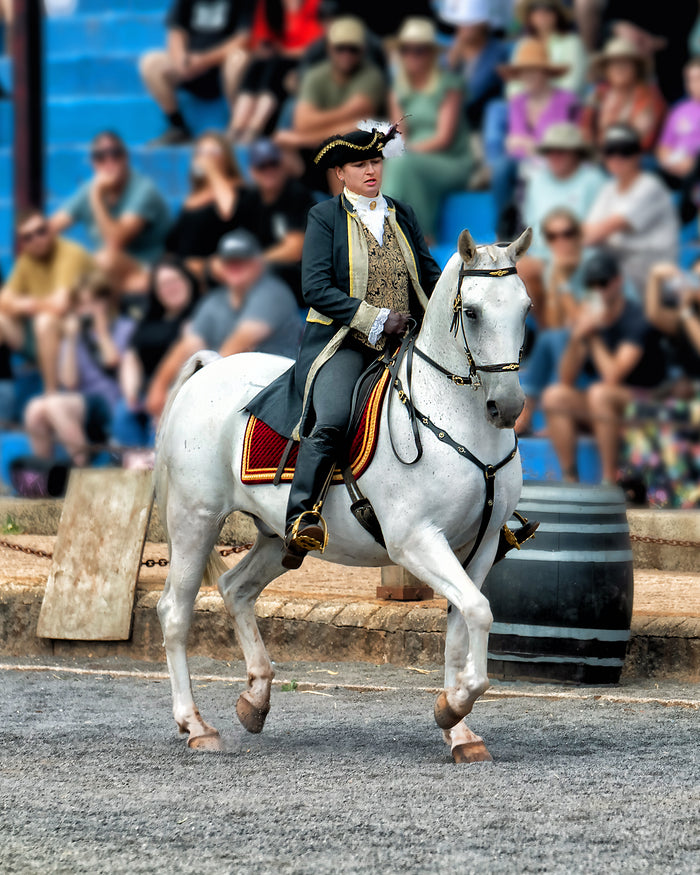 Kryal Castle Baroque Horse Festival