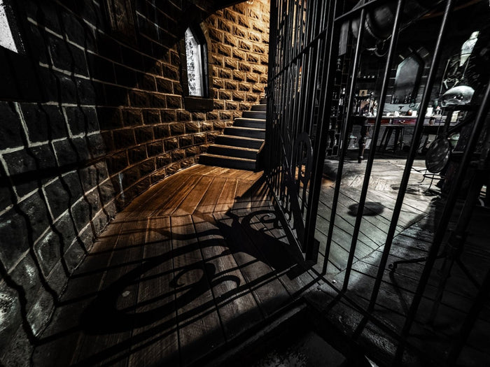 Dark, narrow hallway with stone walls and a barred door leading to a brighter area.